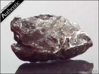 7g. SIKHOTE ALIN IRON METEORITE From Russia w/case#mr28  