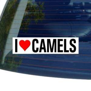  I Love Heart CAMELS   Window Bumper Sticker Automotive