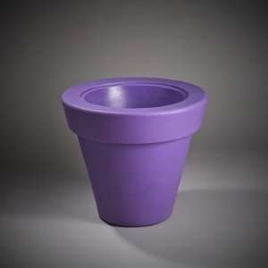  Light Without, Color Purple, Drain Yes Patio, Lawn & Garden