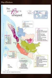 Experience the delights of Bordeaux   Wines
