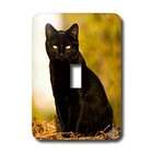   LLC Cats   Black Cat   Light Switch Covers   single toggle switch