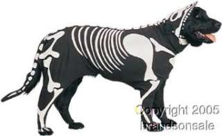    Pet Skeleton Dog Halloween Costume For Small Dogs: Clothing
