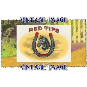   ) Acrylic Fridge Magnet Horses Red Tips Vintage Image: Home & Kitchen