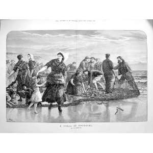  1873 Shoal Mackerel Fish Nets Fishermen Duncan Print