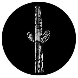  West Desert Cactus