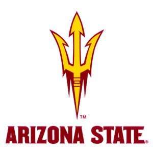   State Sun Devils Rico Industries Static Cling Decal: Sports & Outdoors