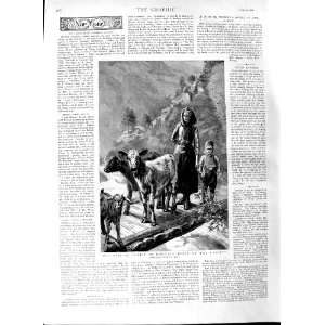  1891 Scene Norway Family Goats Calf Antique Print