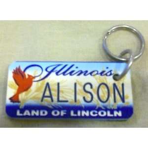  Illinois Land of Lincoln Alison Keychain, Key Holder 
