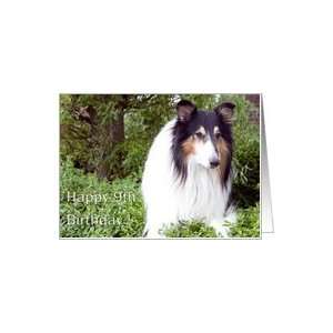  Happy 9th Birthday   Collie Dog Card: Toys & Games