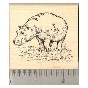  Hippo Hippopotamus Rubber Stamp Arts, Crafts & Sewing