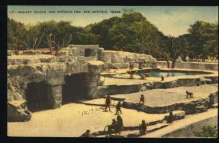 Linen Postcard Monkey IslandZoo San Antonio,Texas/TX  