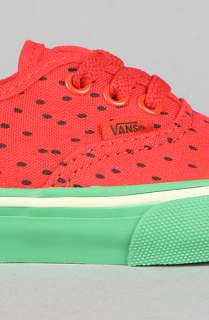 Vans The Toddler Authentic Sneaker in Watermelon Red  Karmaloop 