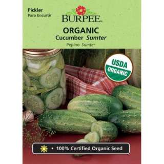 Burpee Cucumber Sumter Organic Seed 60204 