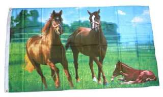 Fahne / Flagge Wilde Pferde NEU 90 x 150 cm Flaggen  