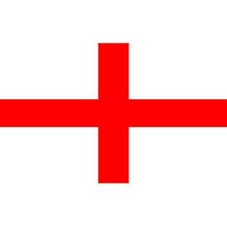 Grab your self a bargain This St Georges Flag has eyelets to attach 