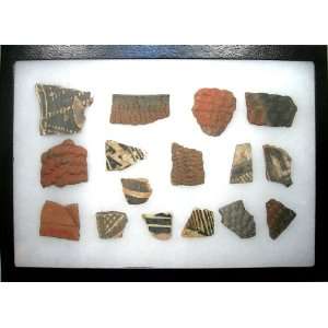 Pottery Shards in Riker Display Case   Including 600 to 1000 Year Old 