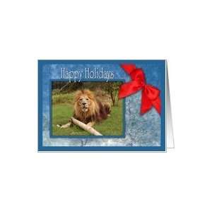  African Lion Christmas Happy Holidays Greeting Card Card 