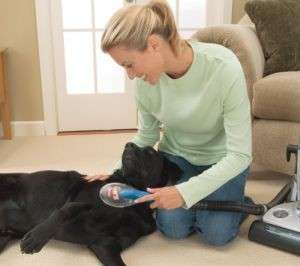 Yowza Bissell Shed Away Pet Grooming Vacuum Attachment  
