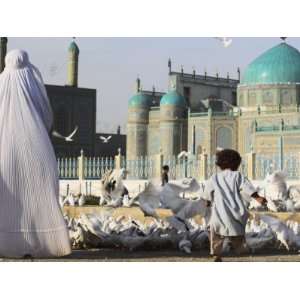 Lady in Burqa Feeding Famous White Pigeons Whilst Child Chases Them 