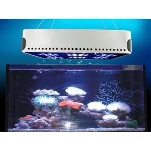  TaoTronics New Design LED Aquarium Coral Reef Tank White 