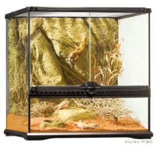 Exo Terra Glass Terrarium 18x18x18 Reptile Cage PT2605  