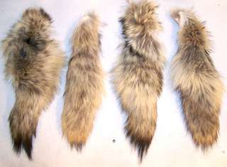 REAL COYOTE NATUARAL TAILS fur pelt tail animal furs  