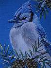 ACEO Blue Jay bird wildlife winter print of painting