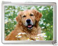 Golden Retriever dog #880 Card Holder Case with Lighter  
