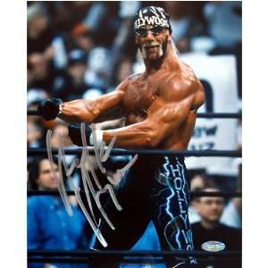  Hollywood Hulk Hogan Flexing Vertical 16x20: Sports 