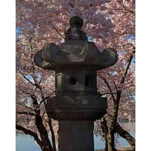 Japanese Stone Lantern and Cherry Trees: Home & Kitchen