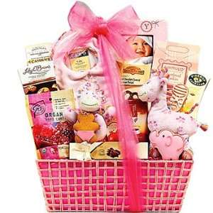 Celebrate New Life Gift Basket (Girl)  Grocery & Gourmet 
