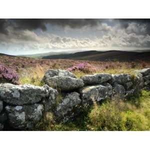  Dry Stone Wall, Near Birch Tor, Dartmoor Np, Devon 