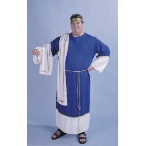   Alexanders Costumes 17 101 Caesar Costume  Plus Size Toys & Games