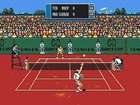 Davis Cup World Tour Tennis Sega Genesis, 1993  